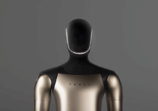 机械飞升是否可行？马斯克称：脑机融合机器人将在20年内达成数字永生