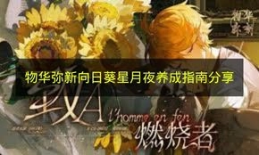 《物华弥新》向日葵星月夜养成指南