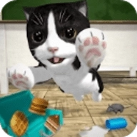 猫咪模拟器安卓免费版
