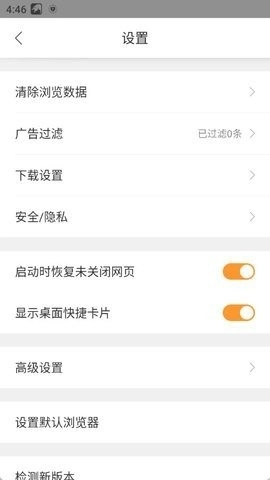 猎豹dns浏览器图1