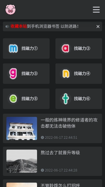 BT磁力猪2026最新版图1