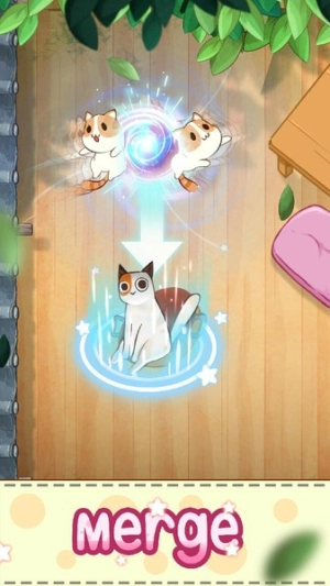 猫咪合并图4