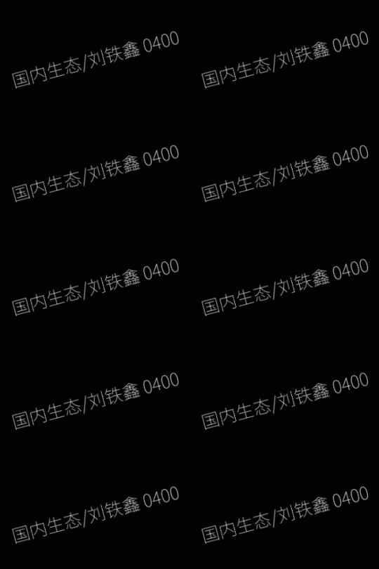 从被喷上热搜到被夸“真香”？《二重螺旋》是怎么让玩家欲罢不能的？