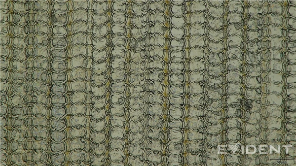 苹果迎来新突破:iPhoneAirUSB