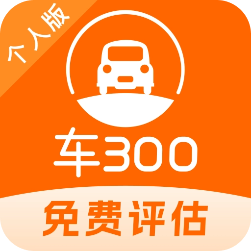 车300二手车官方版