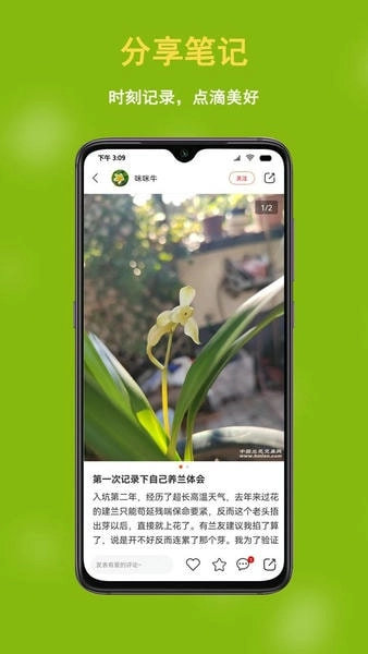 兰花交易网图2