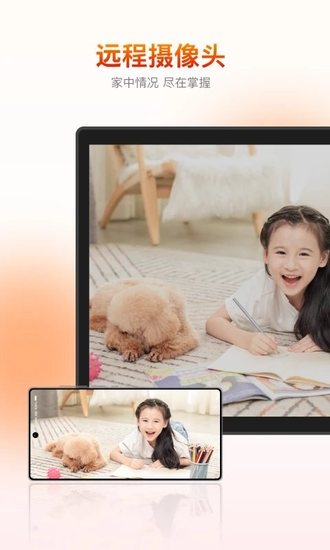 向日葵客户端图4