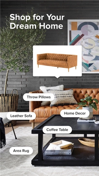 houzz室内设计中文版图1