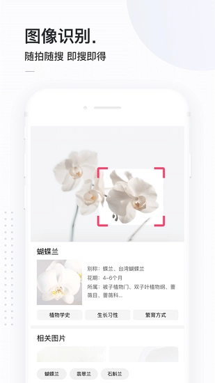简单搜索冲顶神器手机版图4