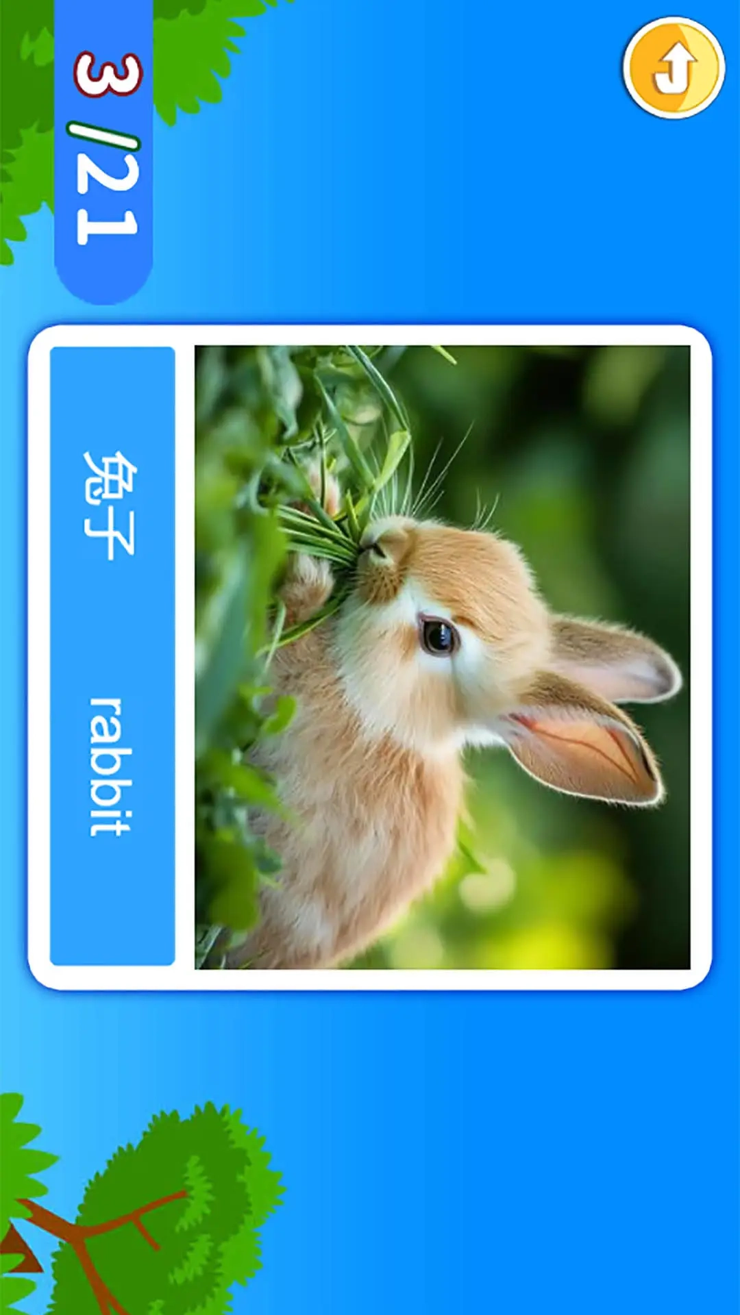 宝宝学英语abc免费版-图2