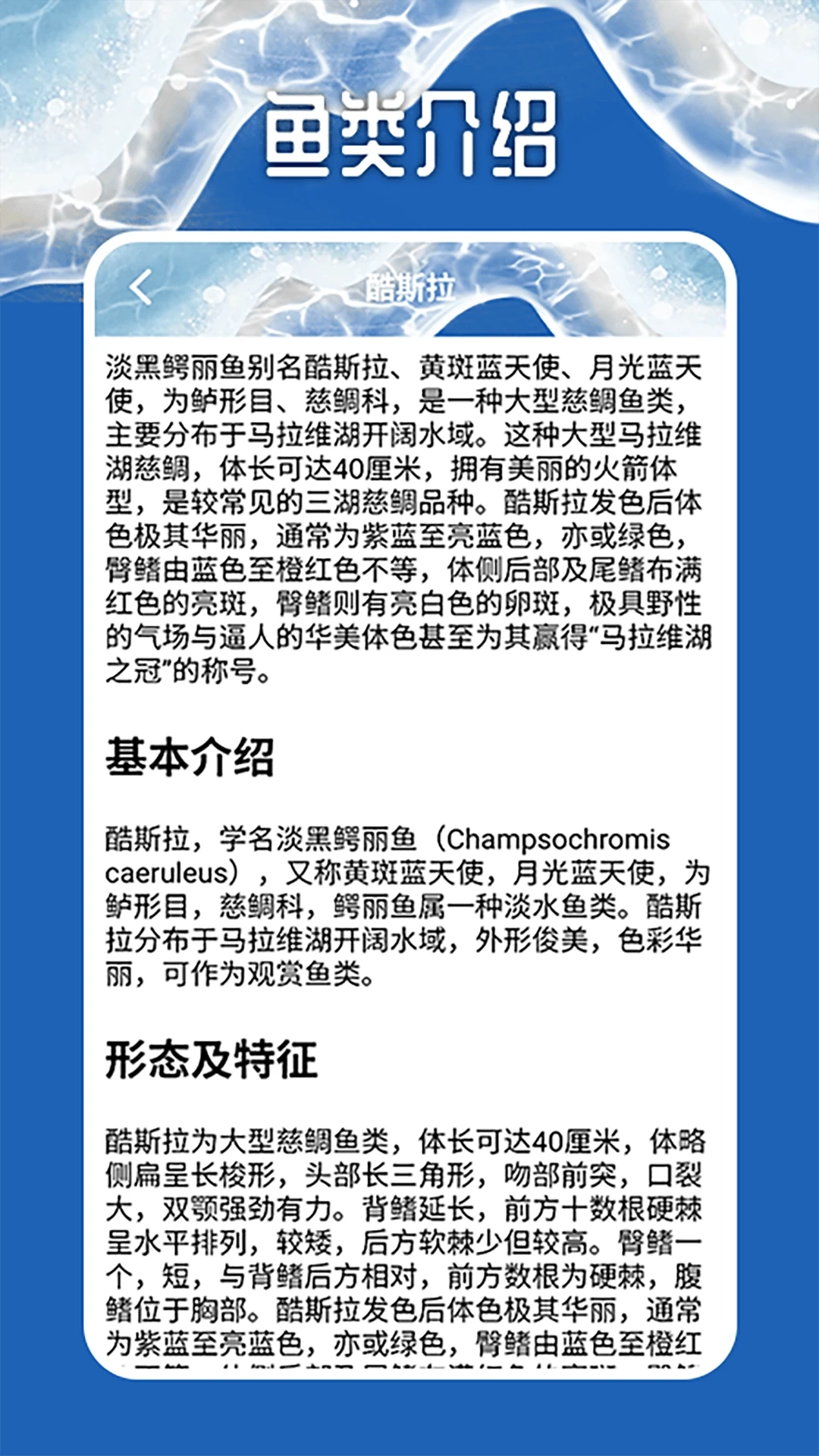 天天钓鱼大师图4