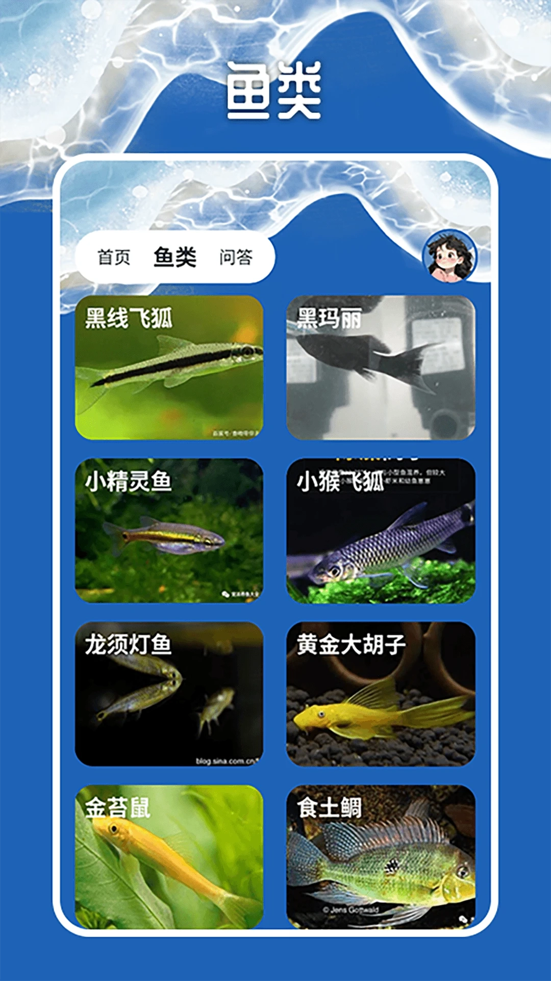 天天钓鱼大师图3