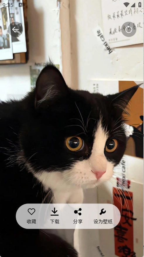 随心手机壁纸图2