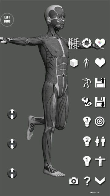 artpose汉化安卓版图2