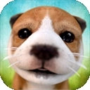 狗狗模拟器手机版