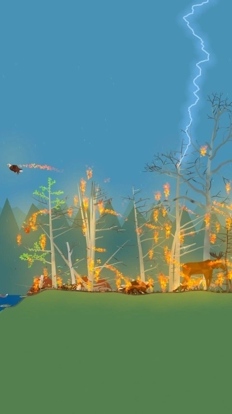 小松林手机版(1)