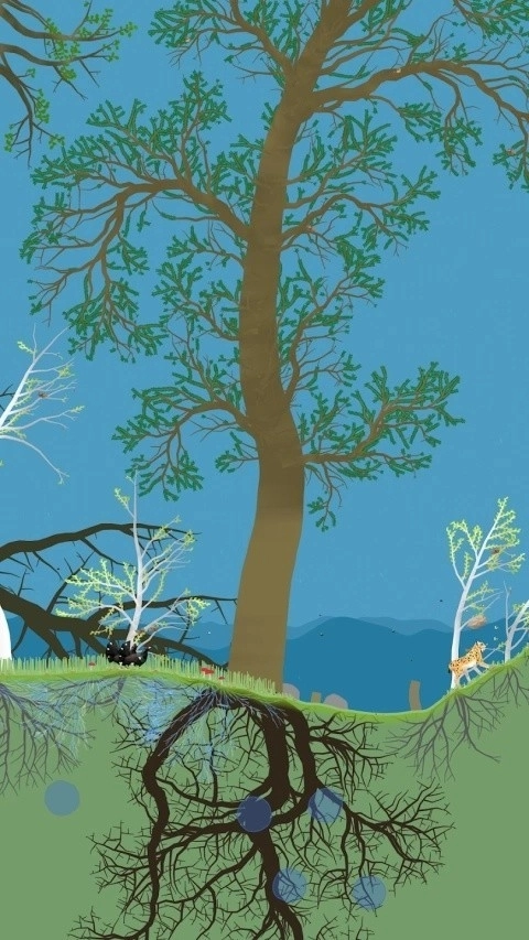 小松林手机版(4)