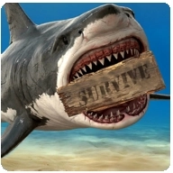 木筏海上生存汉化版