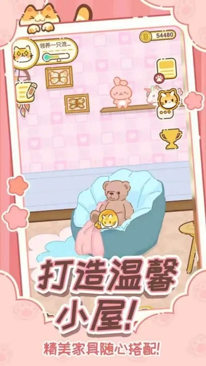 领养一只流浪猫(1)