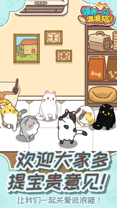 领养一只流浪猫(3)