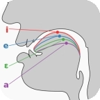 英语国际音标学习安卓版