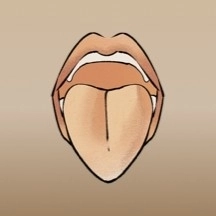 中医舌诊宝典免费电子版