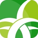 野草助手电视版