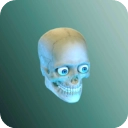 放置人类功能菜单