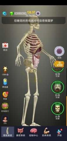 放置人类功能菜单(2)