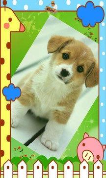 极品电子相册官方正版