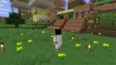 我的世界模拟人生