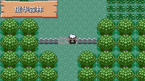 口袋妖怪火红金手指版