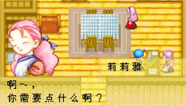 牧场物语矿石镇的伙伴