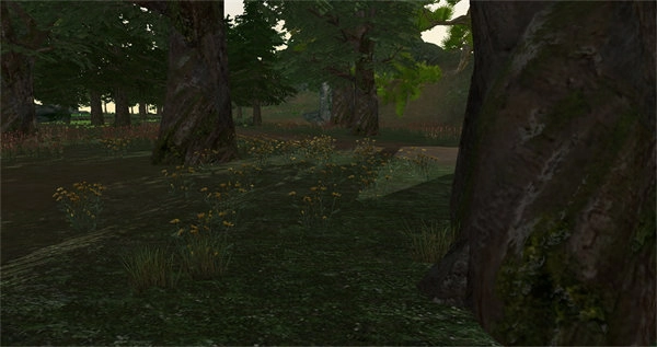 我穿越到灵界图3