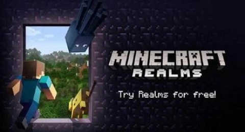 我的世界测试版(1)