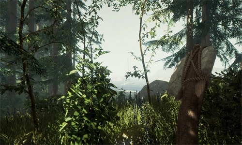 荒岛末日求生(3)