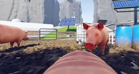小猪模拟器
