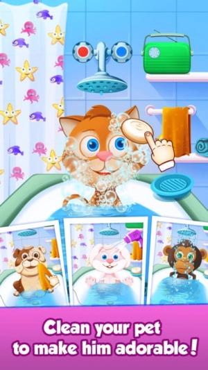 宠物保健护理图4