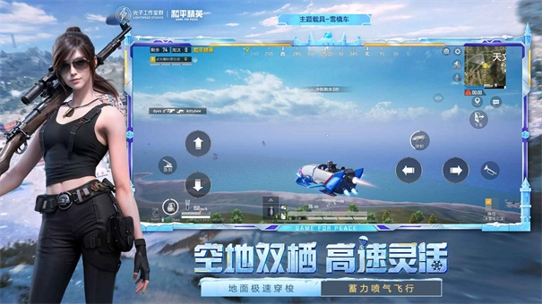 和平精英正版(4)