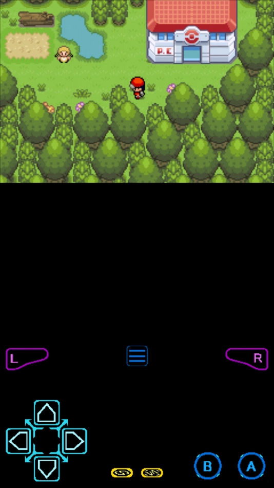 口袋妖怪xy汉化版(3)