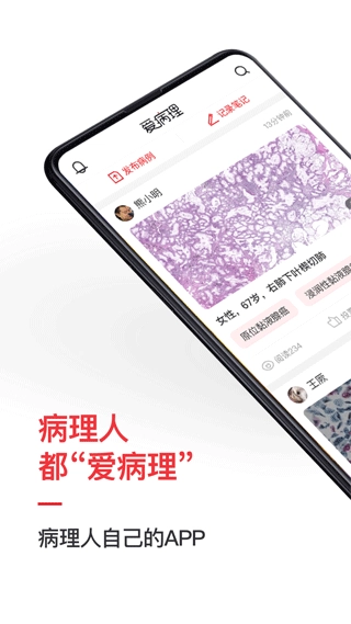 爱病理手机版图1