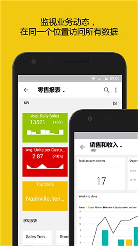 PowerBI中文版图2