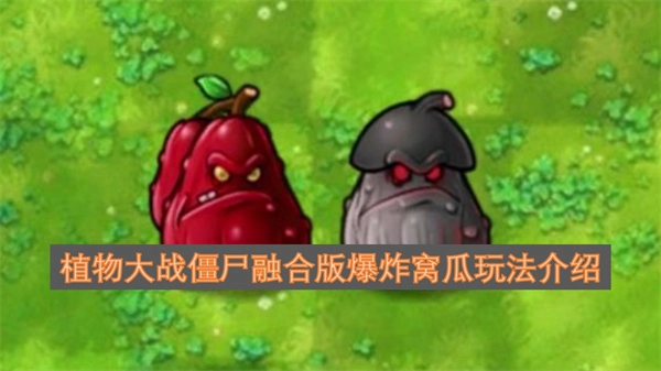 植物大战僵尸融合版中爆炸窝瓜的玩法指南