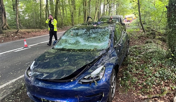 特斯拉Model3遭大树砸压仍守护乘员安全车主再购新车力挺马斯克