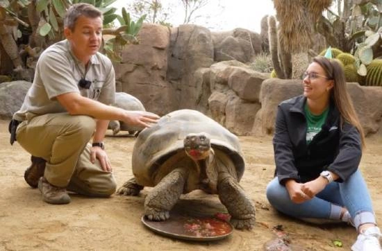 美国动物园中最年长的象龟被实施安乐死，其寿命约达141岁