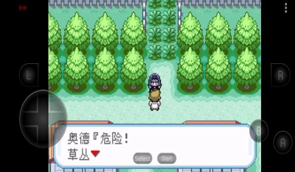 口袋妖怪究极之路图2