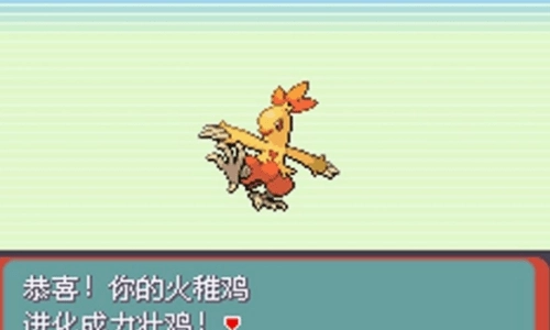 口袋妖怪：绿宝石图1