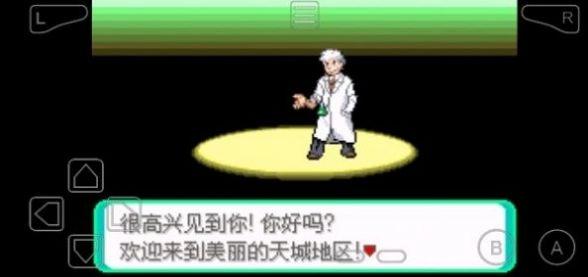 口袋妖怪黑暗之火(4)