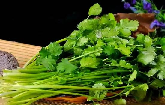 全球有15%的人天生携带反香菜基因，而突然开始喜欢香菜或许是因为年龄增长了