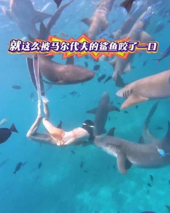 女性生理期进行海底潜水时遭鲨鱼攻击咬伤专家分析：血腥味易对鲨鱼产生刺激作用